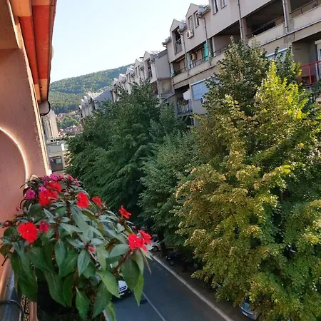 Apartment Ino 99 *