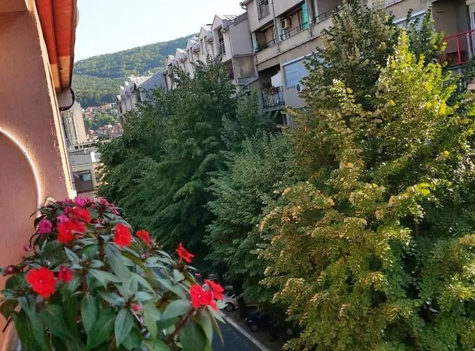 Διαμέρισμα Ino 99 *